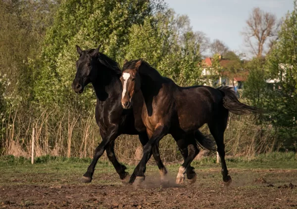 Photo: Agrita Žunna